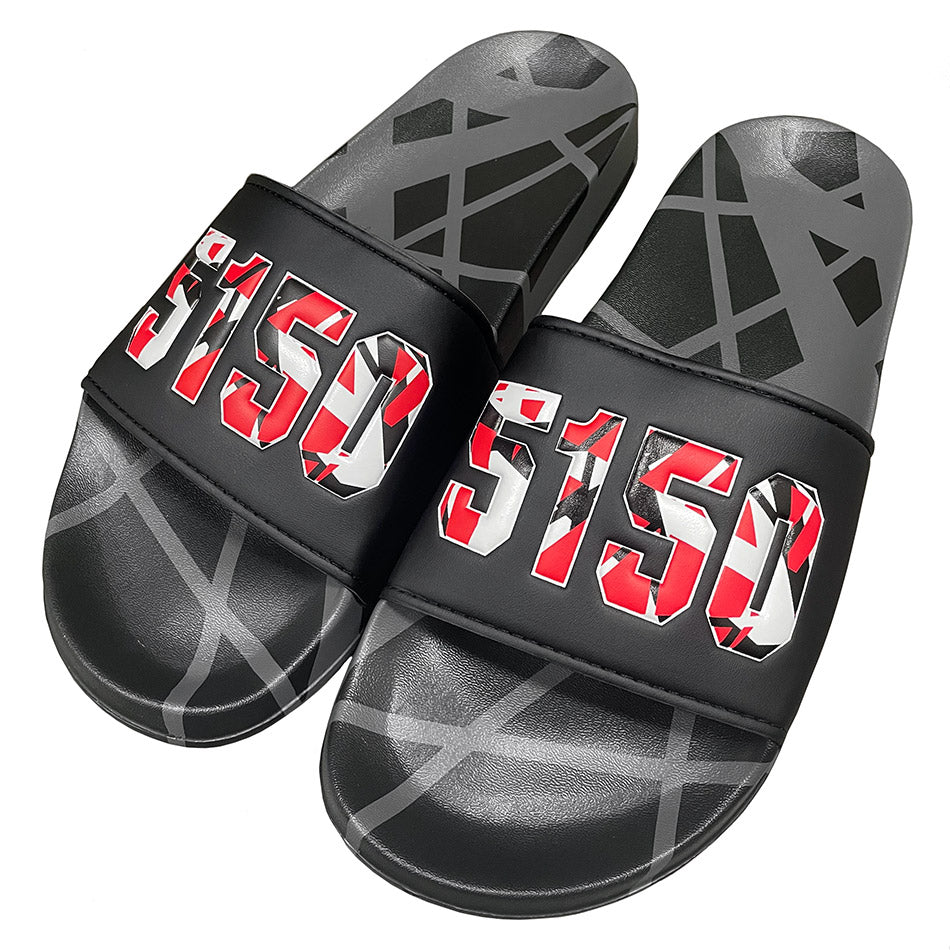 5150 Slides