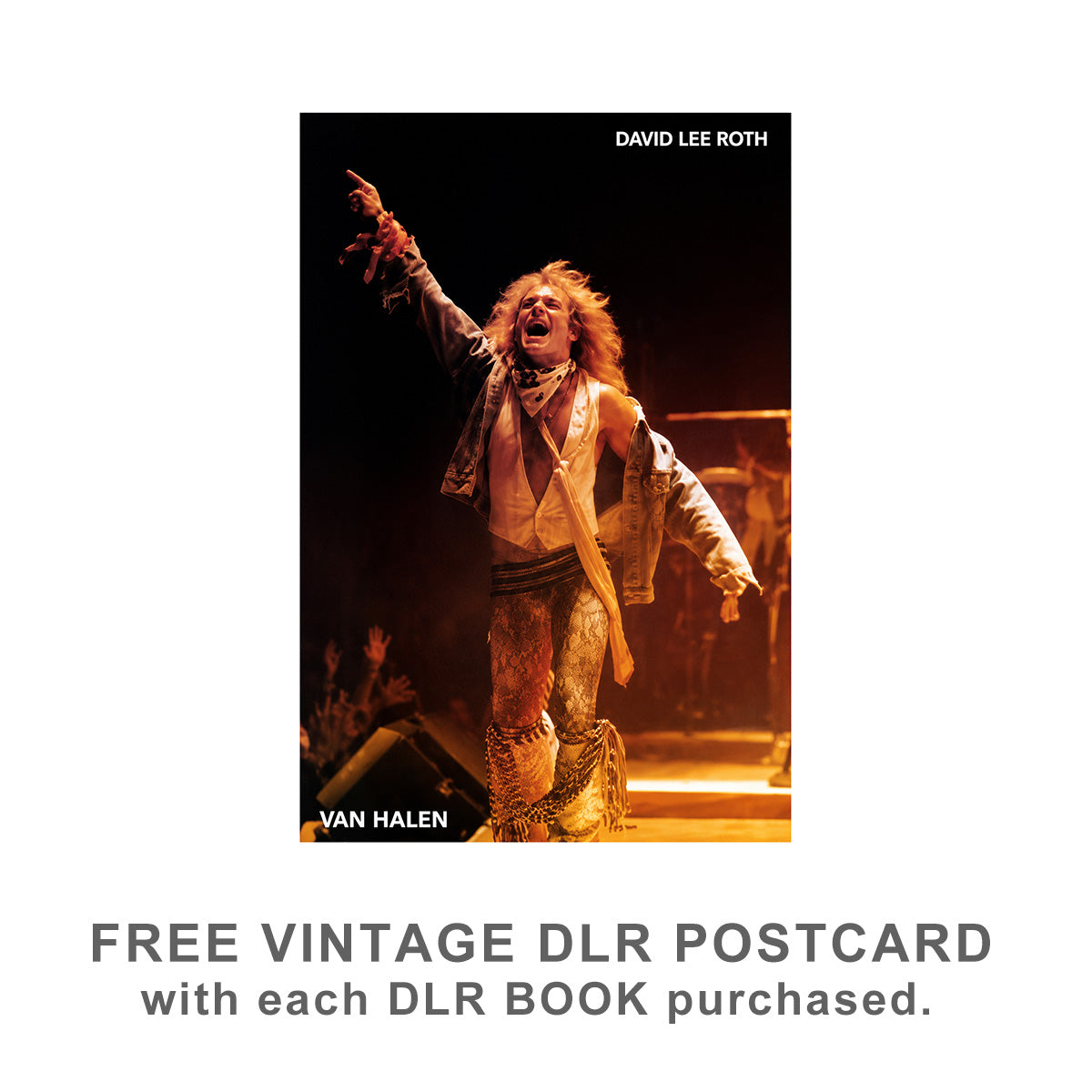 DLR Book: How David Lee Roth Changed the World
