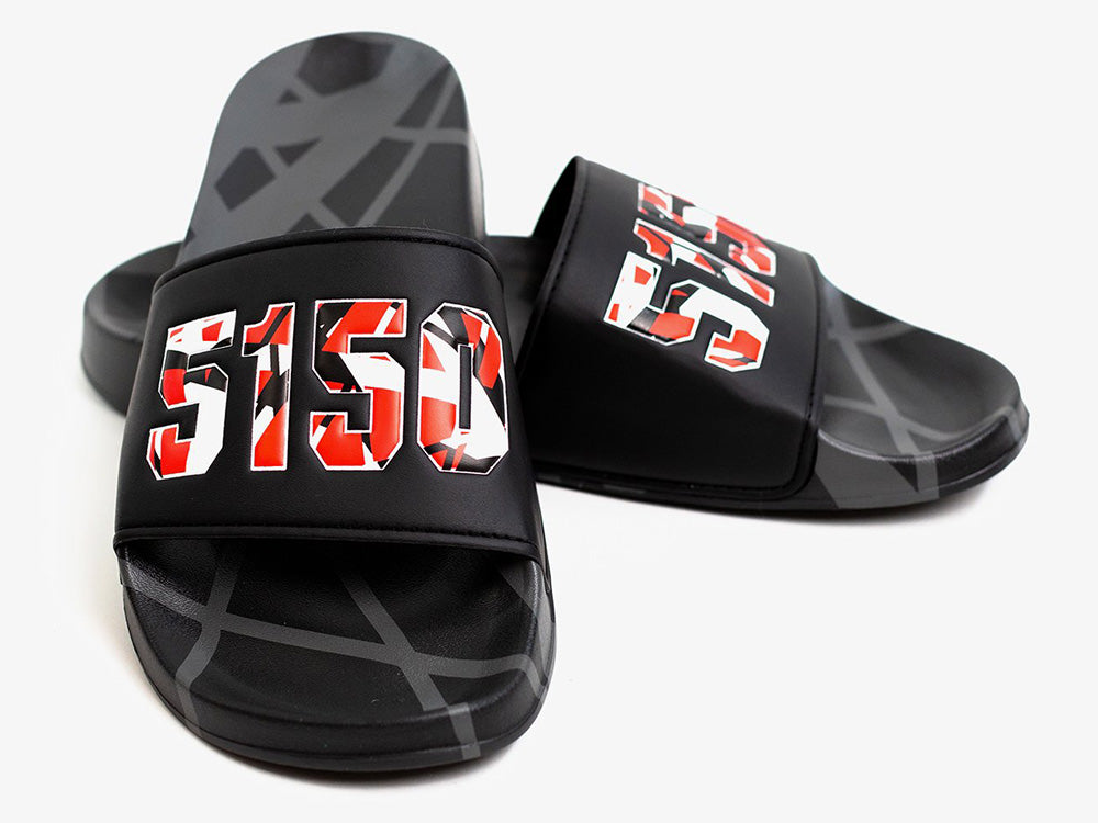 5150 Slides