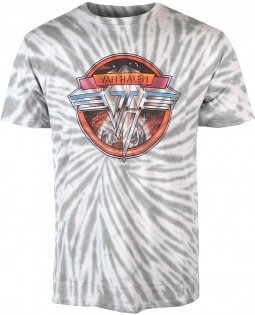 Space Logo Grey Tie Dye